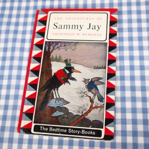 Sammy Jay